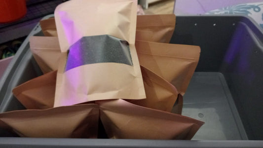 Worm Castings – Premium Natural Plant Booster